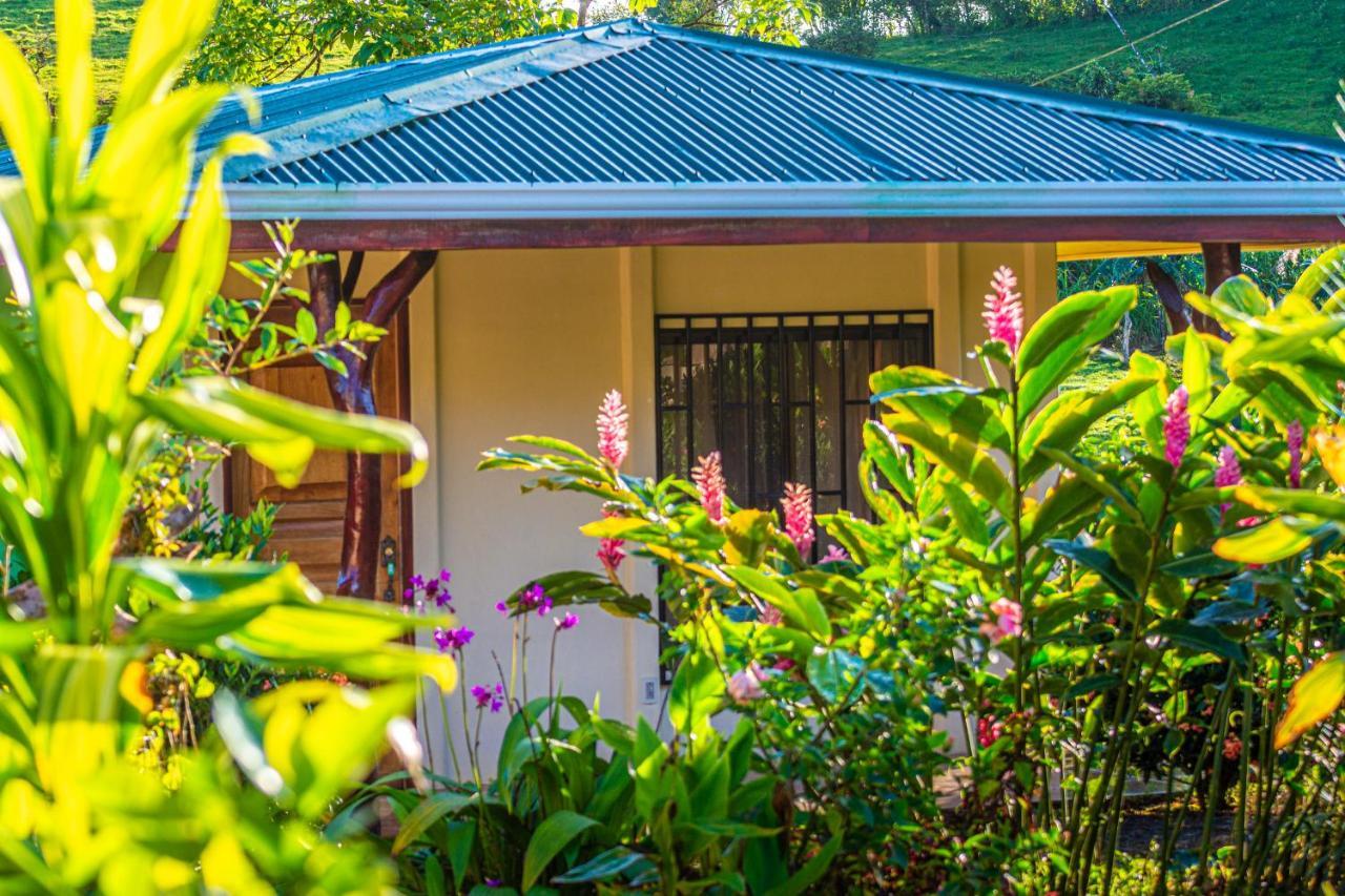 Rio Celeste Springs Blue Lodge Bijagua Esterno foto